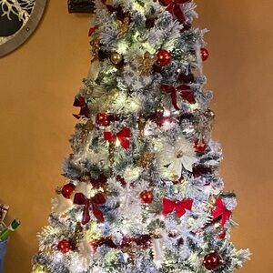 MERRY CHRISTMAS Everyone!!!